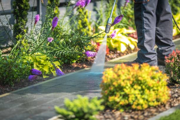 Reliable North Prairie, WI Pressure Washing Services Solutions