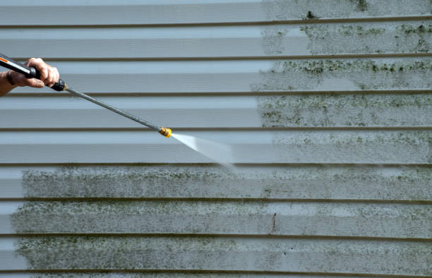 Best Window and Screen Pressure Cleaning in North Prairie, WI